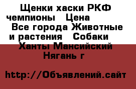 Щенки хаски РКФ чемпионы › Цена ­ 90 000 - Все города Животные и растения » Собаки   . Ханты-Мансийский,Нягань г.